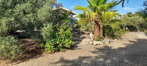 Overnatningsstedets område