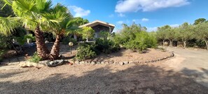 Property grounds - House in the green between sea and countryside (San Vero Milis)