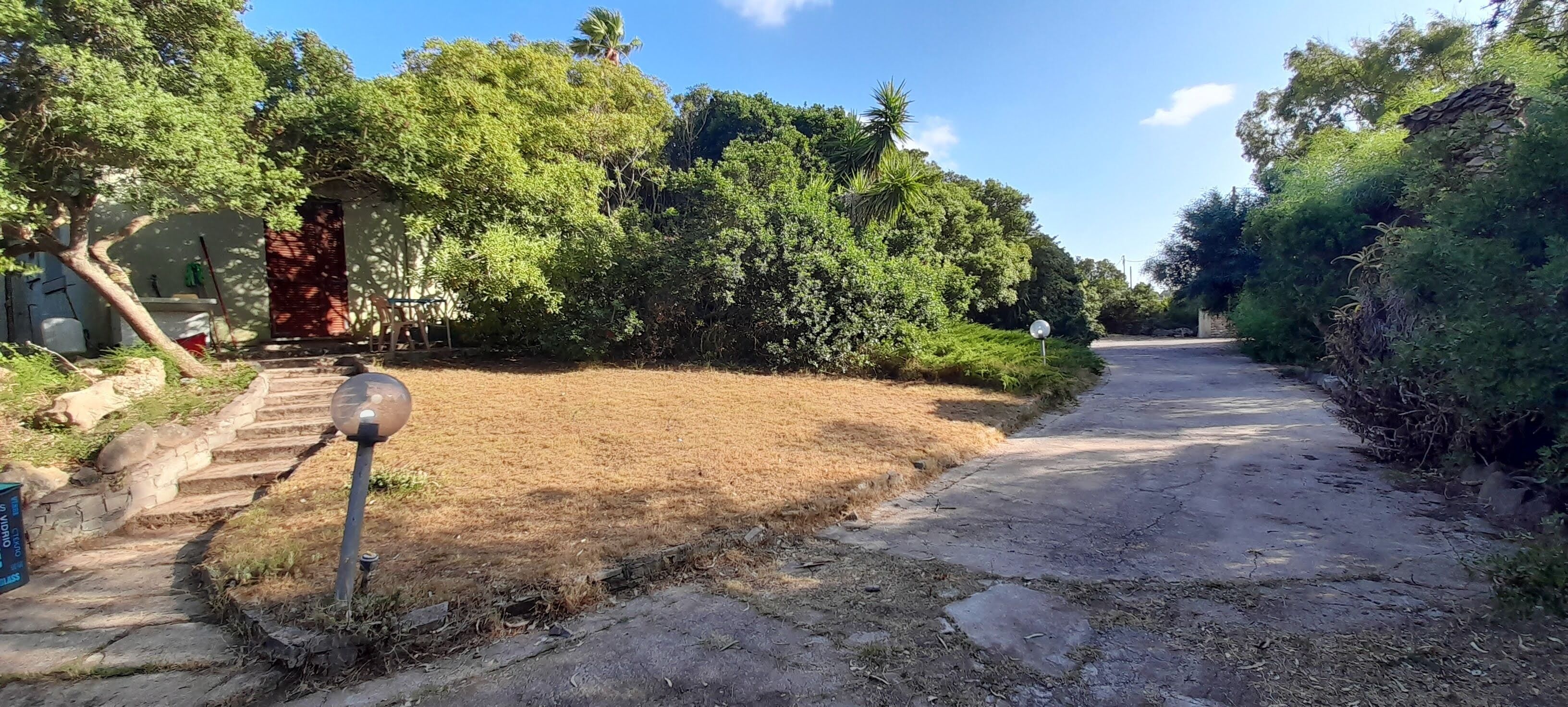 A rural pathway leading to a house with a red door, surrounded by dense greenery and a palm tree.