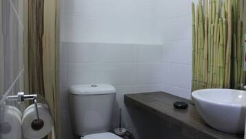 Hair dryer, towels, soap, toilet paper