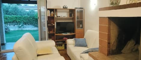 Smart TV, fireplace, books