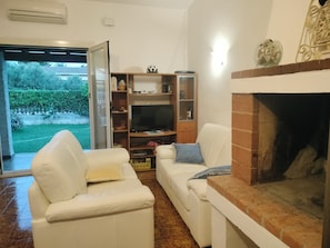 Smart TV, fireplace, books