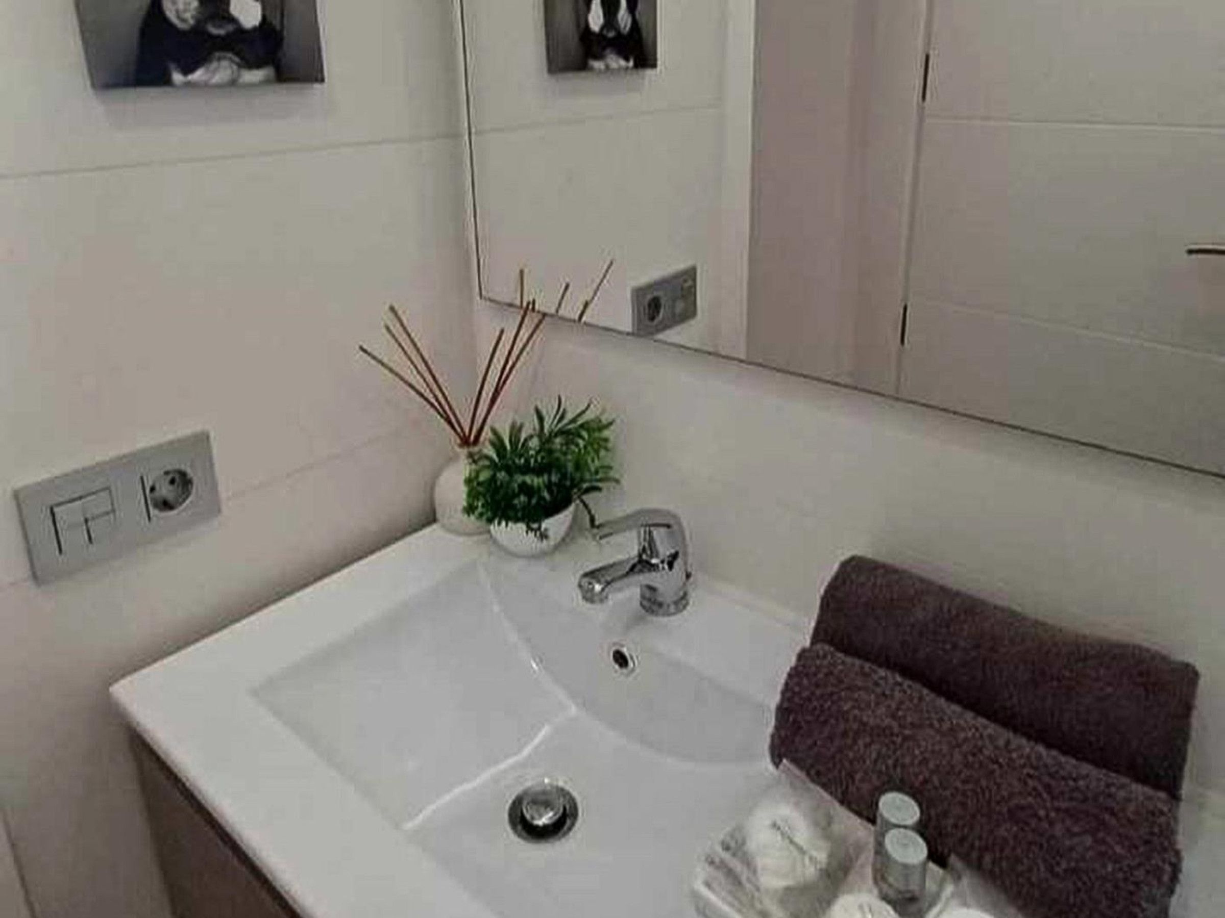 A bathroom with a white sink, a mirror, a towel, and a potted plant.