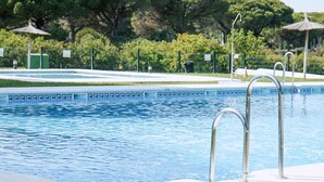 A swimming pool with clear blue water, surrounded by a well-maintained garden with trees and a fence.
