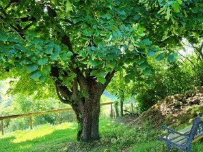Terrain de l’hébergement 