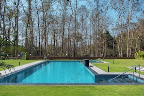 Ein rechteckiger Pool mit gefliestem Rand, umgeben von einem gepflegten Rasen und einer Reihe hoher Bäume im Hintergrund.