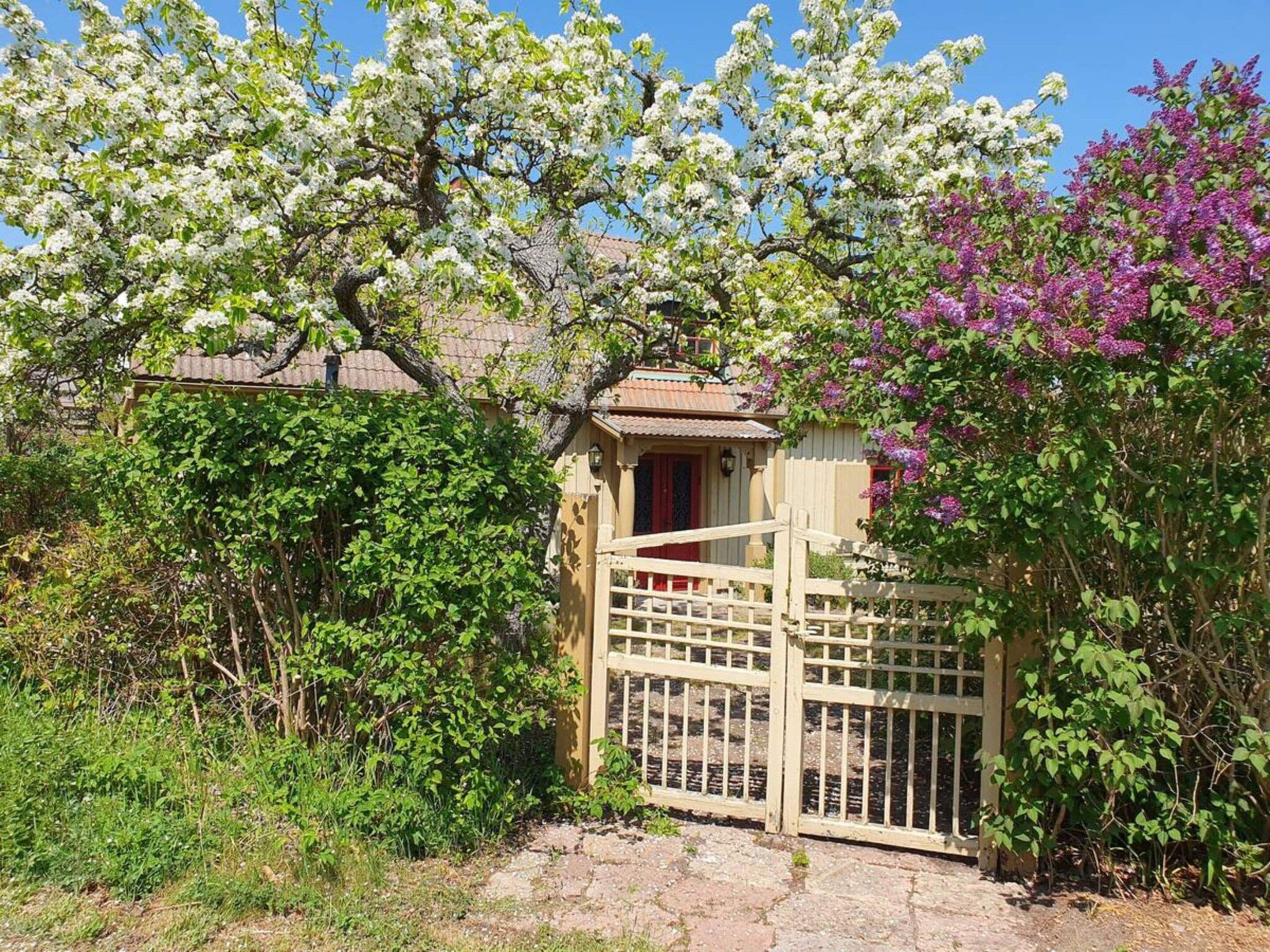 A rustic wooden gate leading to a small building with a red door, surrounded by lush greenery and flowering trees.