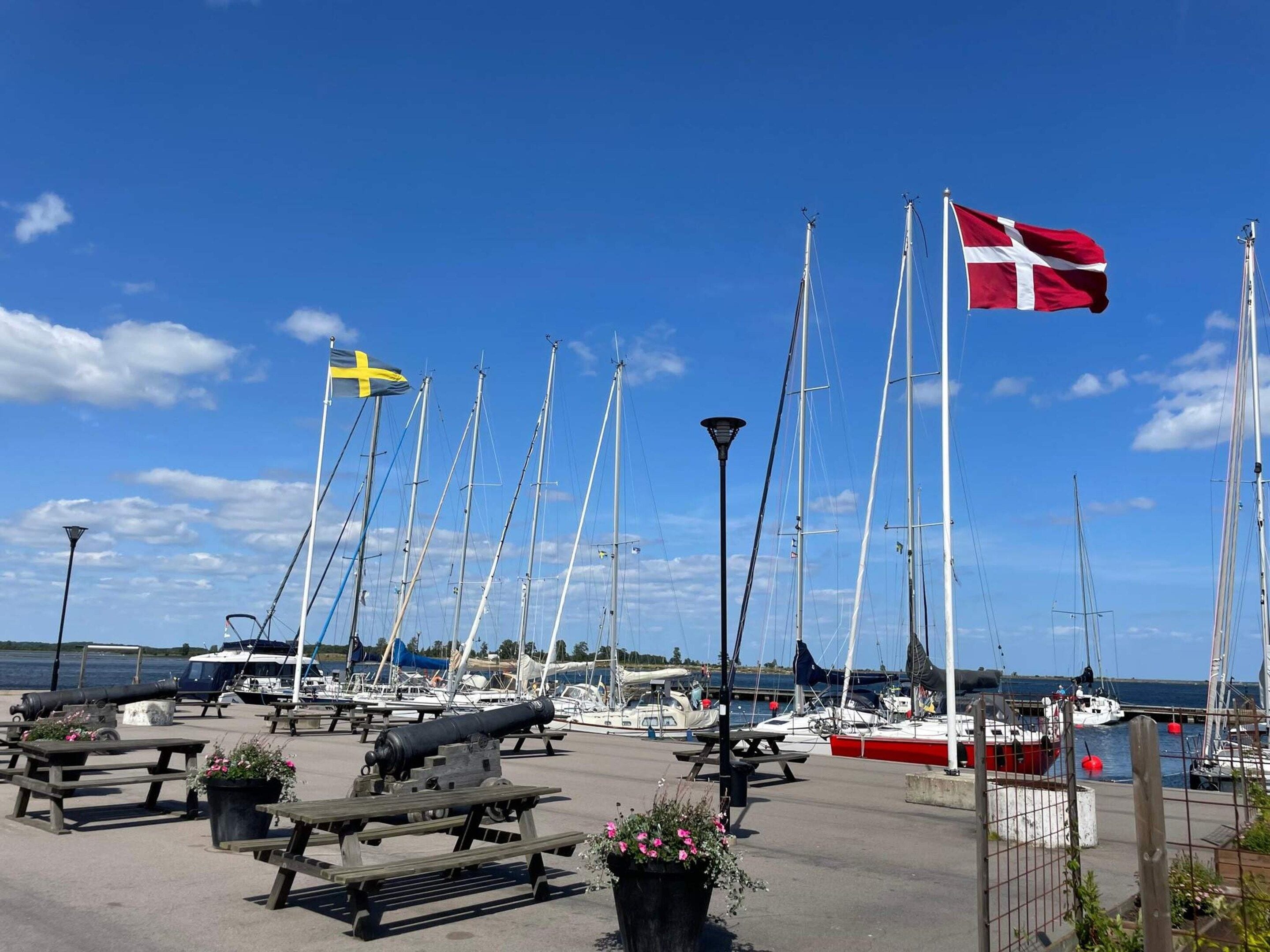 A marina with multiple sailboats docked, a flagpole with flags, and picnic tables with flowers.