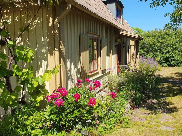 House | Exterior