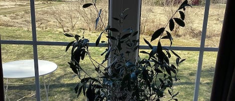 Ferienhaus | Innenbereich