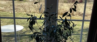 4 Star Holiday Home in Bralanda