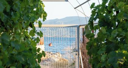 Beachfront Cottage with Spectacular Evian Gulf Views – 3 Minutes from Eretria