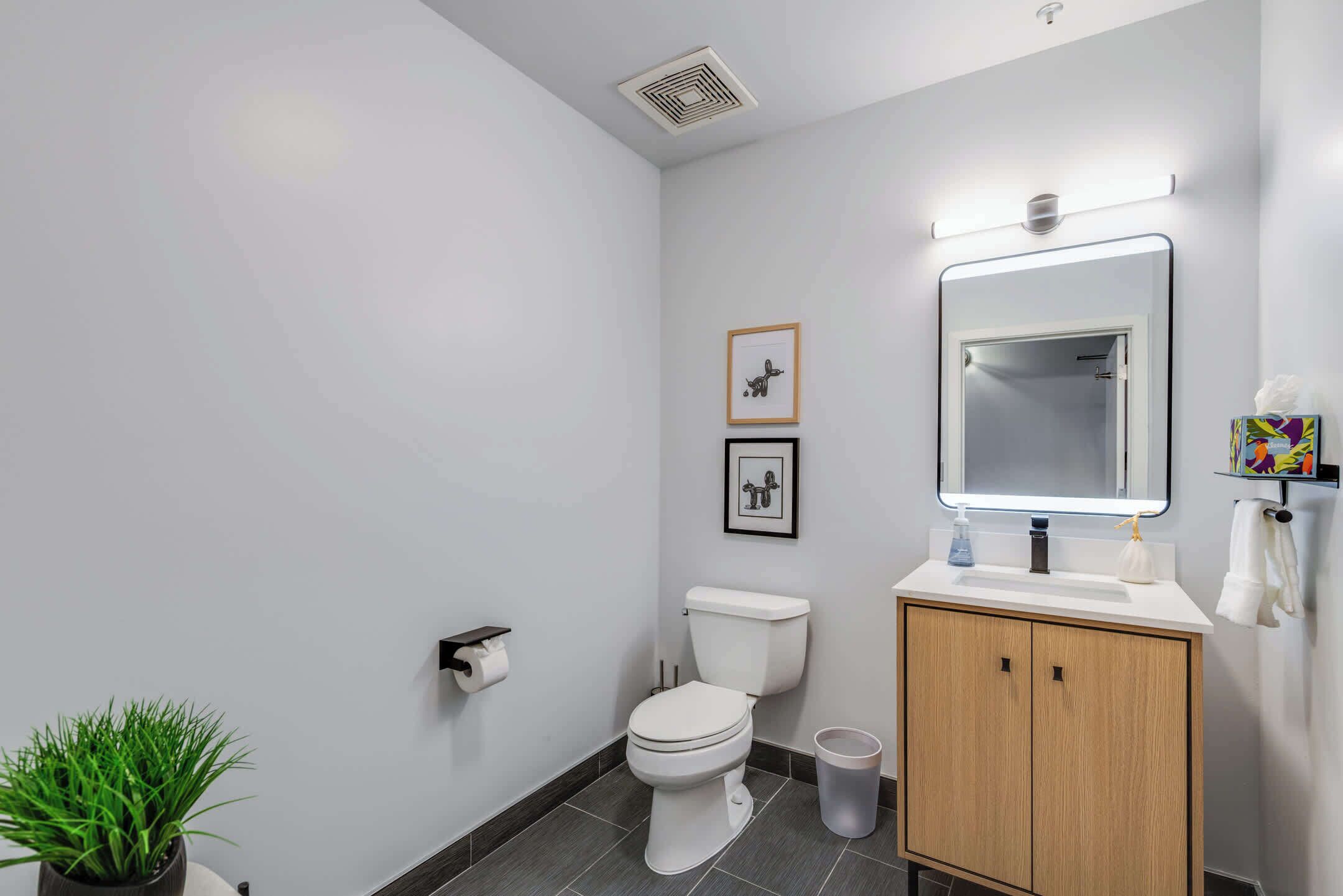 A modern bathroom with a toilet, sink, and mirror. There are framed pictures on the wall, a small plant, and a trash bin.
