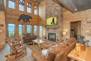 TV, fireplace, video games, DVD player