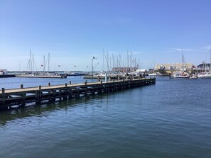House | Marina
