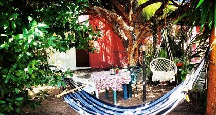 Il Giardino, enjoy nature among olive trees near Cagliari/Elmas