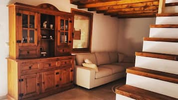 TV, fireplace, DVD player, books