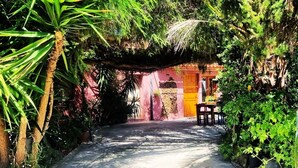 A pathway leading to a building with a thatched roof entrance, surrounded by lush greenery and a pink wall.