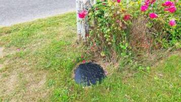 House | Property grounds