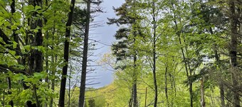 Unique wedding venue perched in the mountains with streams and an apple orchard