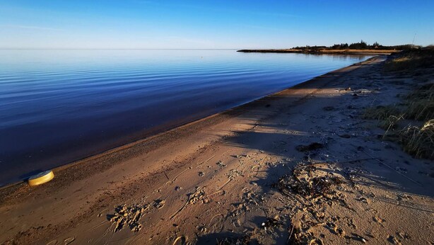 A beach with calm water, a sandy shore, and a distant shoreline with vegetation. - 4 Person Holiday Home in Hemmet (Hemmet)