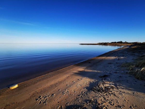 Une plage avec une eau calme, un rivage sablonneux et une côte lointaine bordée de végétation.