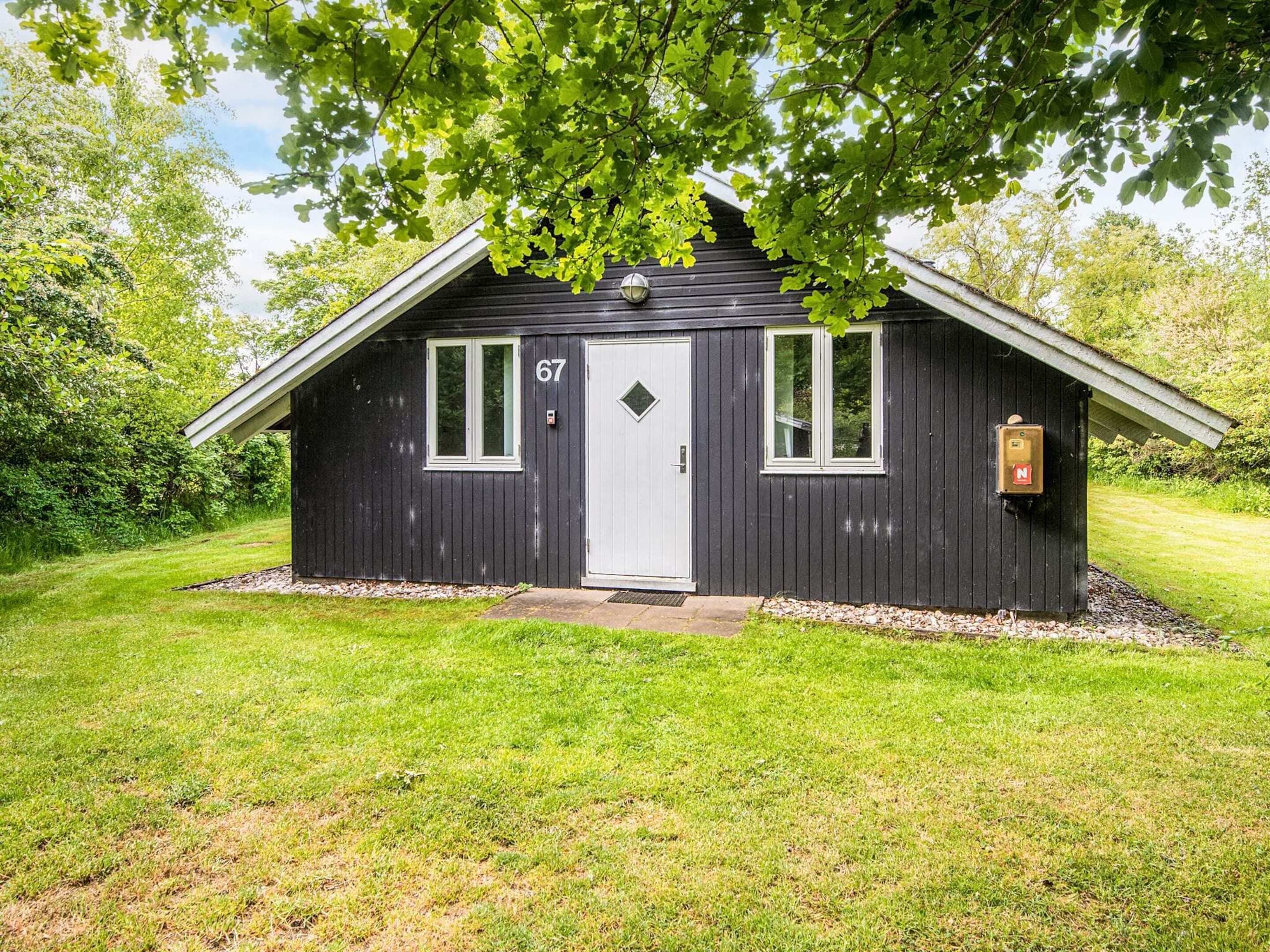 A small, dark wooden cabin with a white door and windows, surrounded by greenery.