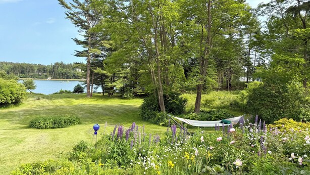Un jardín exuberante con una hamaca, diversas flores y un lago al fondo.