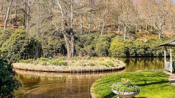 Ferienhaus | Außenbereich