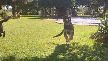 Enceinte de lâhĂ©bergement