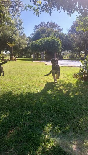 Terrain de lâhĂ©bergement