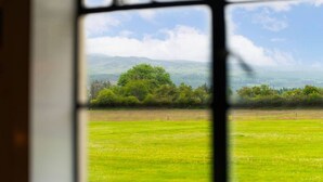 A view through a window with a rural landscape, including green fields and trees, and distant hills.