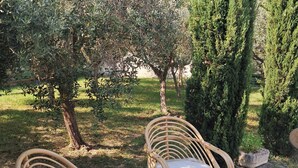 Dos sillas de mimbre con cojines en un patio con vista a árboles y un área verde.