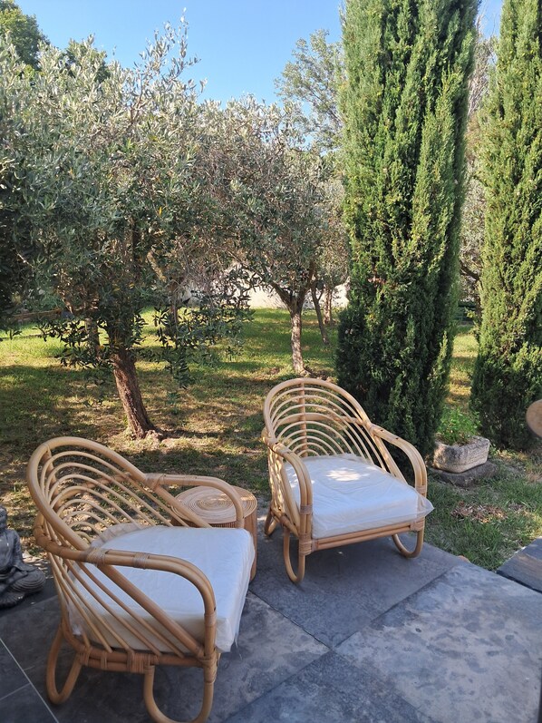 Terrasse/gårdhave