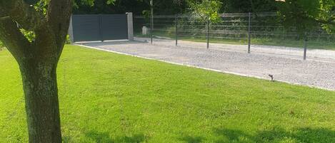 A grassy area with a tree, a metal fence, and a gravel path.