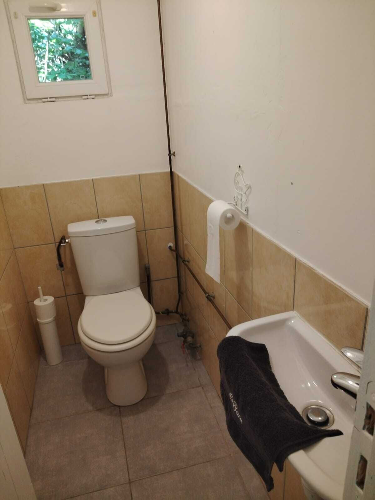 Een kleine badkamer met toilet, wastafel en een raam.