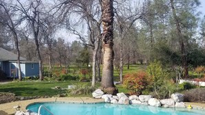 Ein Garten mit Schwimmbad, umgeben von Steinen und Bäumen.