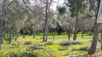 Ferienhaus (3 Bedrooms) | Innenbereich