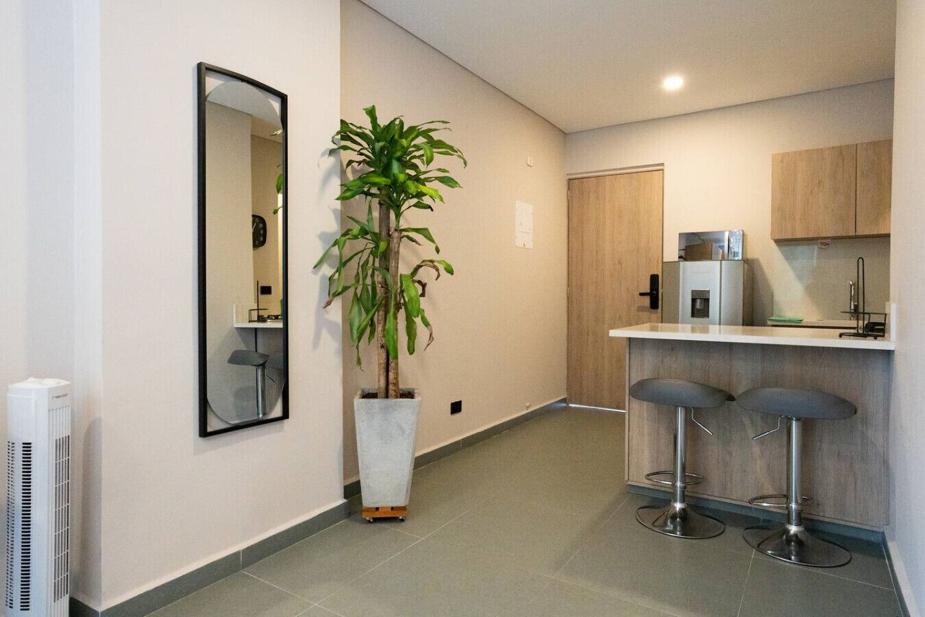 Et moderne køkken med en bar, en potteplante og et spejl på væggen.