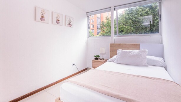 A modern bedroom with a large bed, a nightstand, a window with a view of buildings and trees, and three wall-mounted plant illustrations.