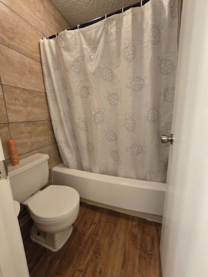 Hair dryer, towels, soap, toilet paper