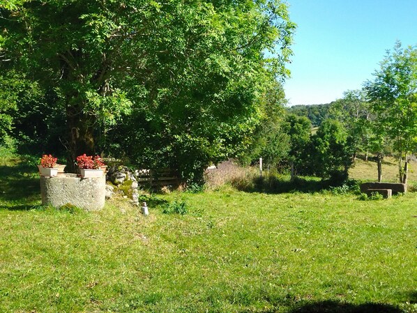 Jardines del alojamiento