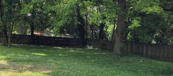 Uptown Charlotte! Hi-speed wifi and pet friendly!