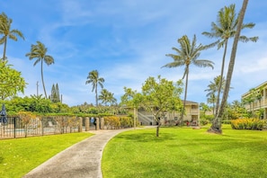 Condo, 1 quarto | Área da propriedade
