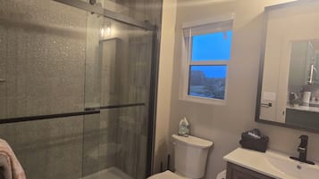 Shower, hair dryer, towels, soap