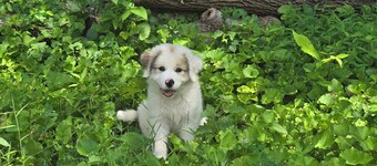 Charming 1-bedroom farmhouse in marvelous Seneca with WiFi, AC