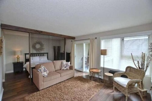 Ski In Ski Out Cozy Studio