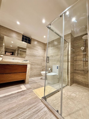 Shower, hair dryer, bidet, towels