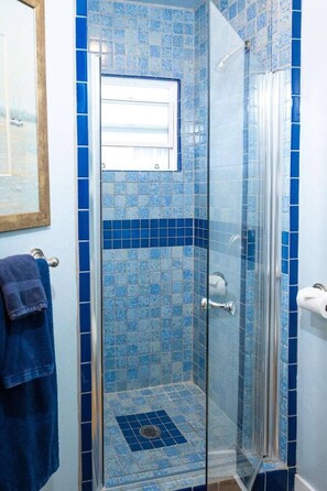 Shower, hair dryer