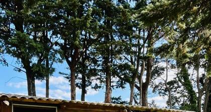 Maison de campagne Ă 3 minutes de Vaison la Romaine.
Idéal pour les randonneurs.
